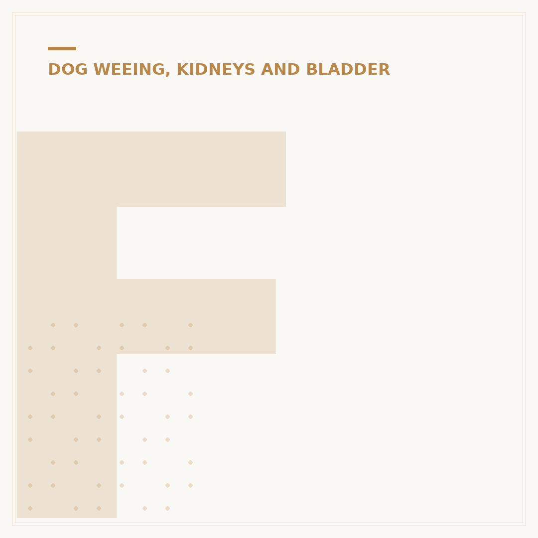 Failing Kidneys in Dogs: Signs, Causes & Care