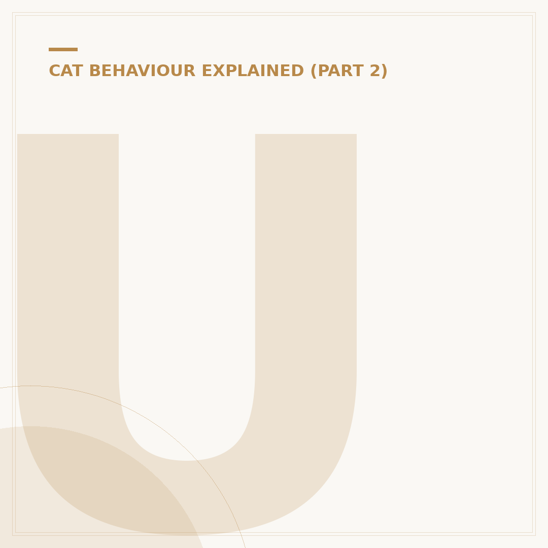 Understanding Fear in Cats: Signs and Solutions