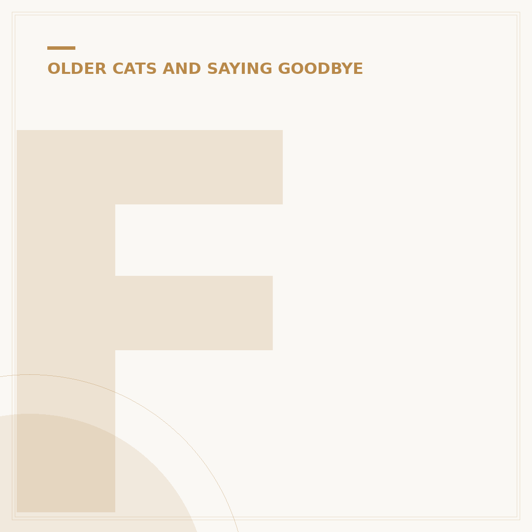 Feline Cremation: Costs, Options & What to Expect
