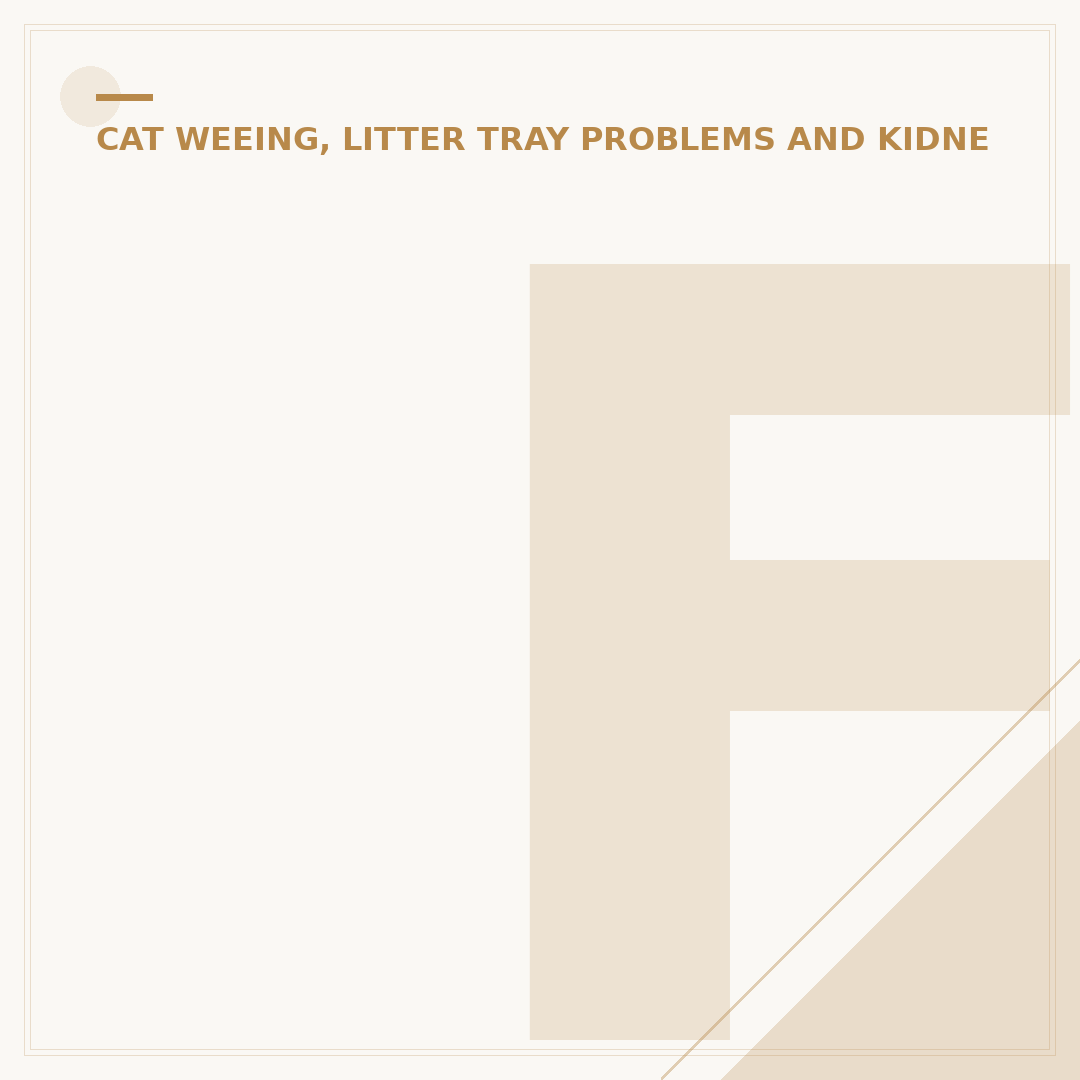 Feline Lower Urinary Tract Disease (FLUTD) Explained