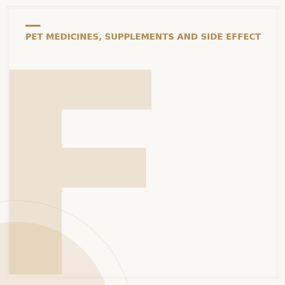 Feline Painkillers: Options for Cat Pain Relief