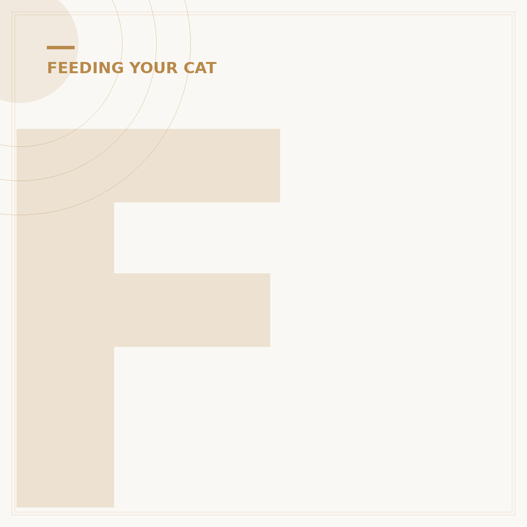 Feline Raw Food: What Your Cat Needs to Thrive