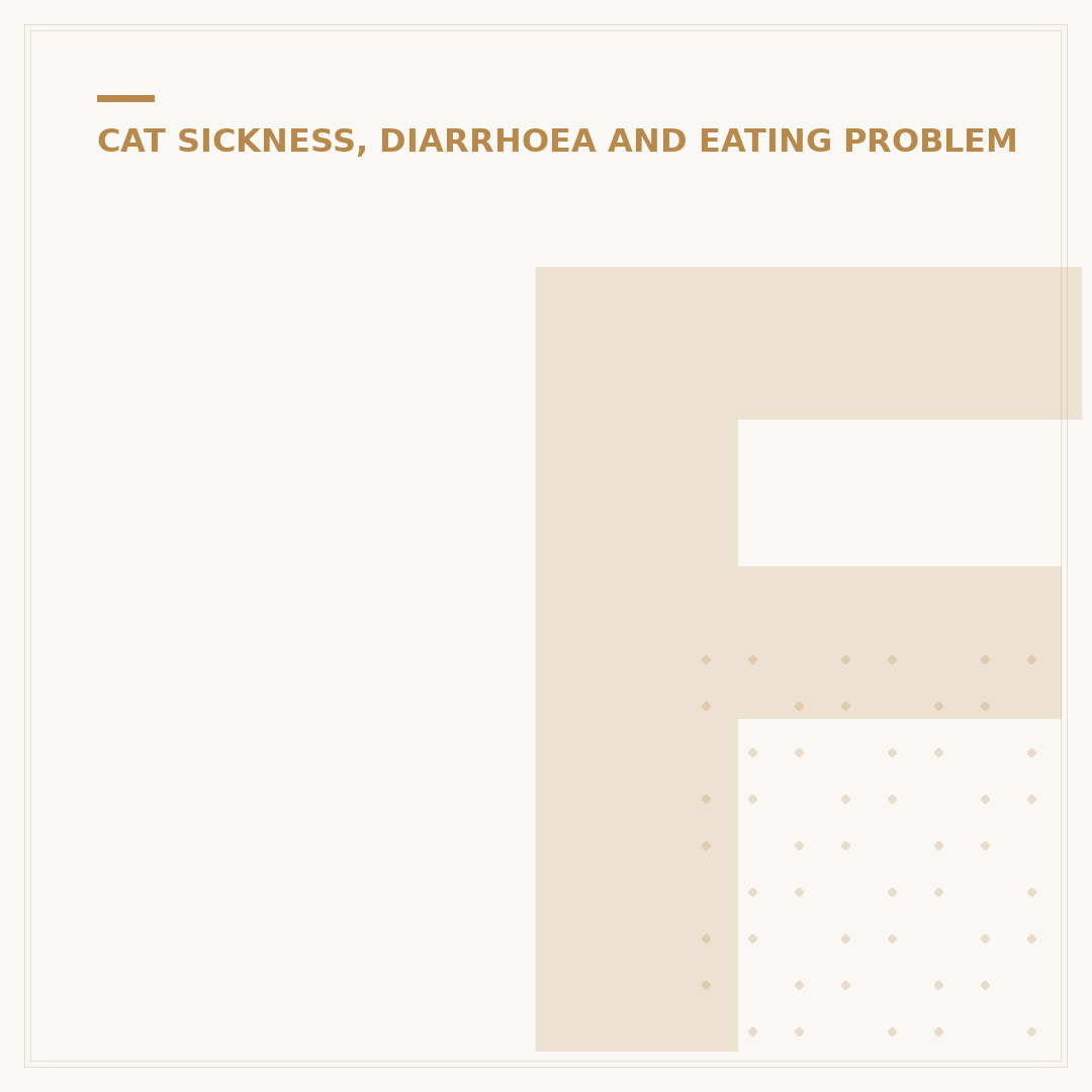 Feline Stomach Bug: Symptoms and What to Do