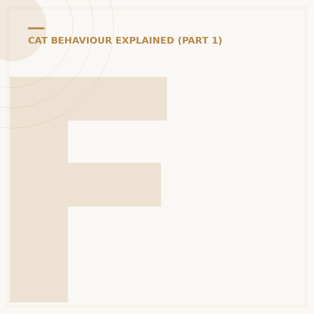 Female Cat Spraying: Causes and How to Stop It