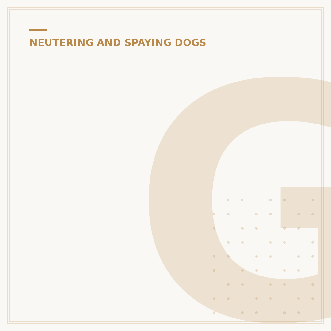 Getting a Female Dog Spayed