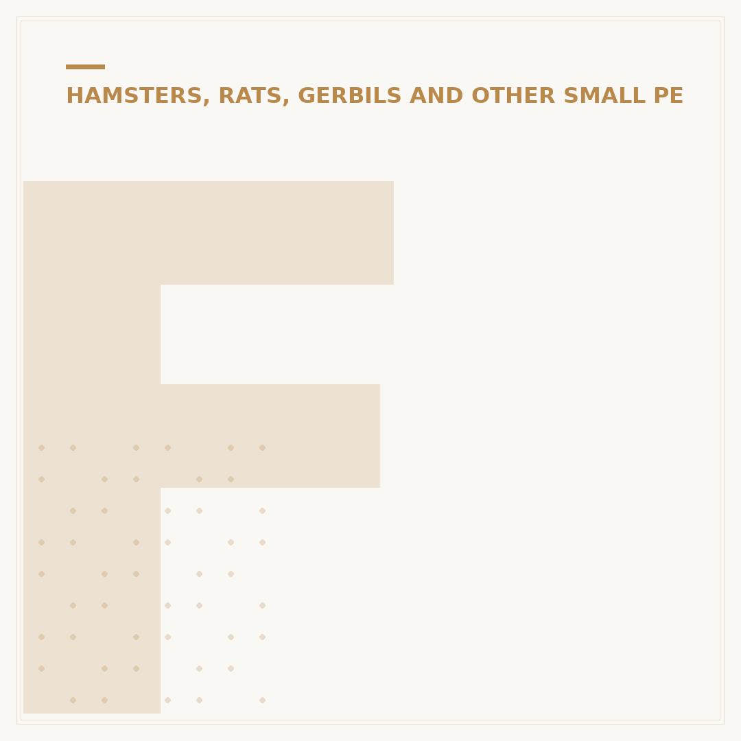 Ferret Finder: Locating Your Lost Pet