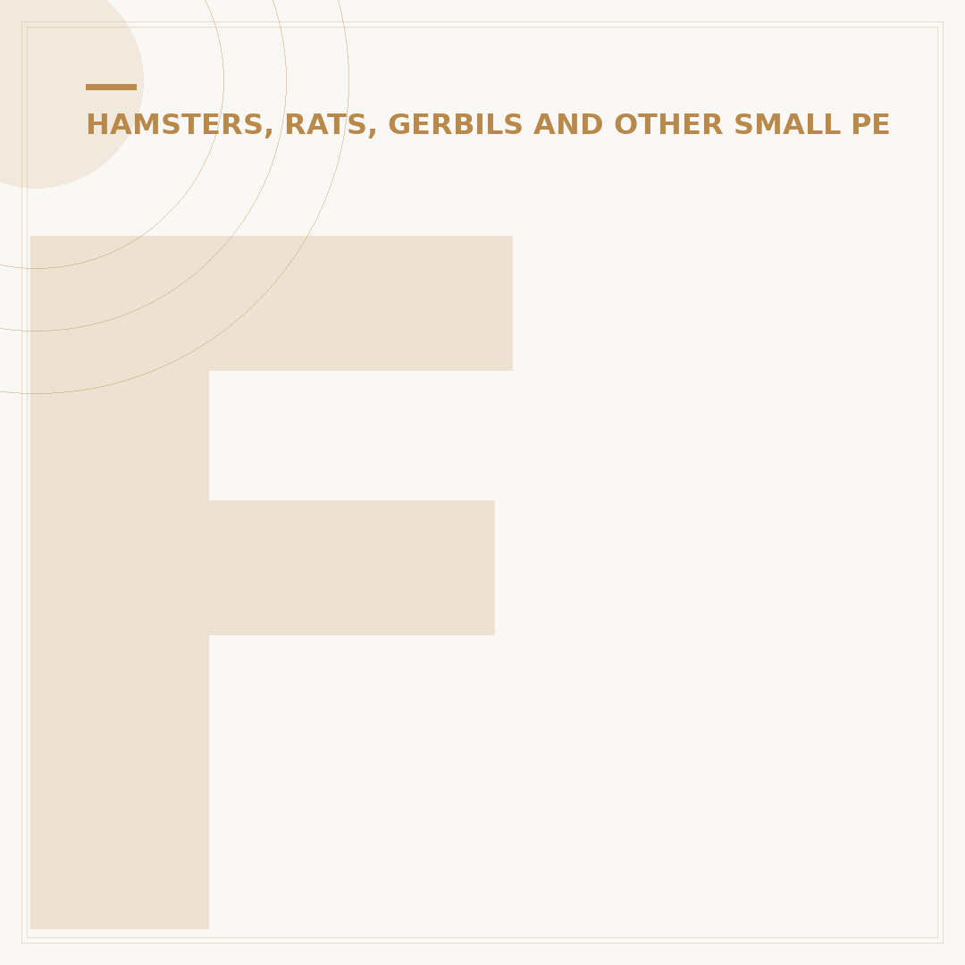 Ferret Scout Car: A Portable Home for Small Pets