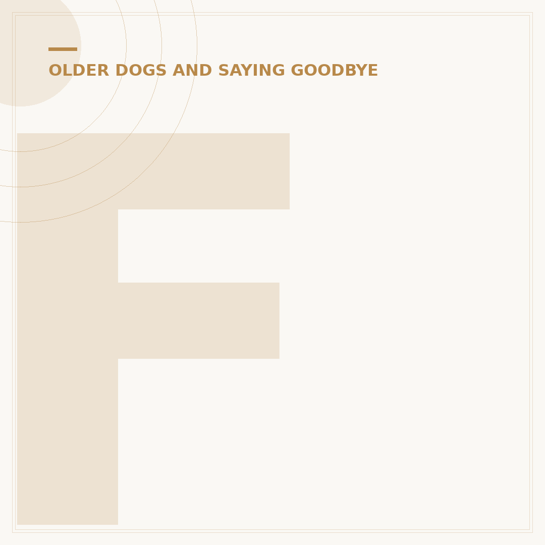 First Signs of Dementia in Dogs: Spotting Early Symptoms