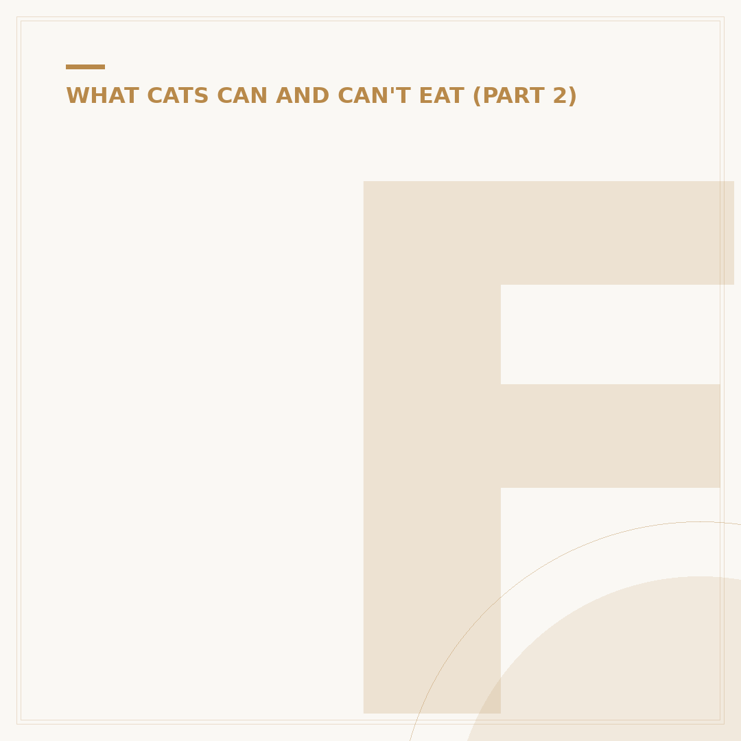 Fish for Cats to Watch