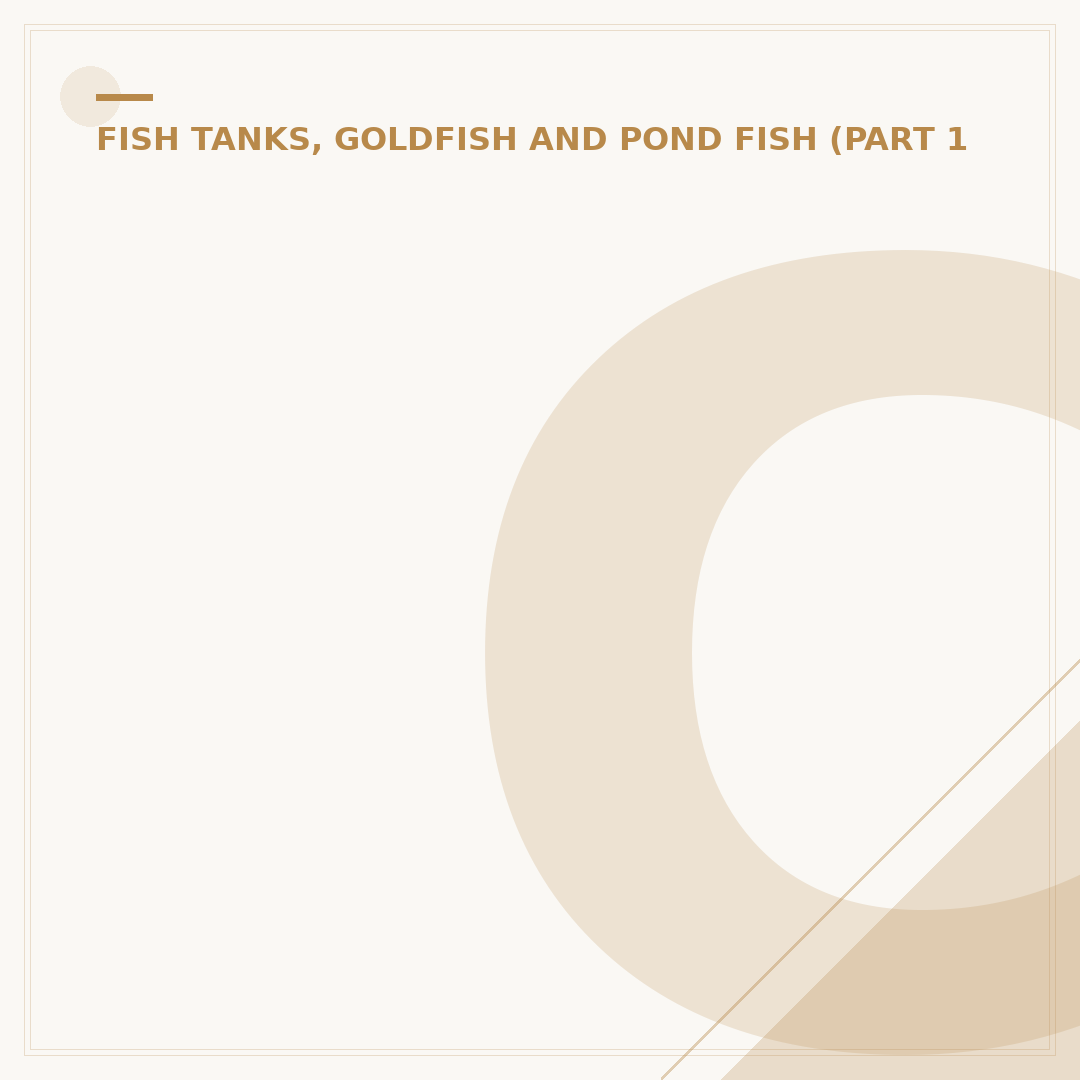 Choosing a Fish Tank