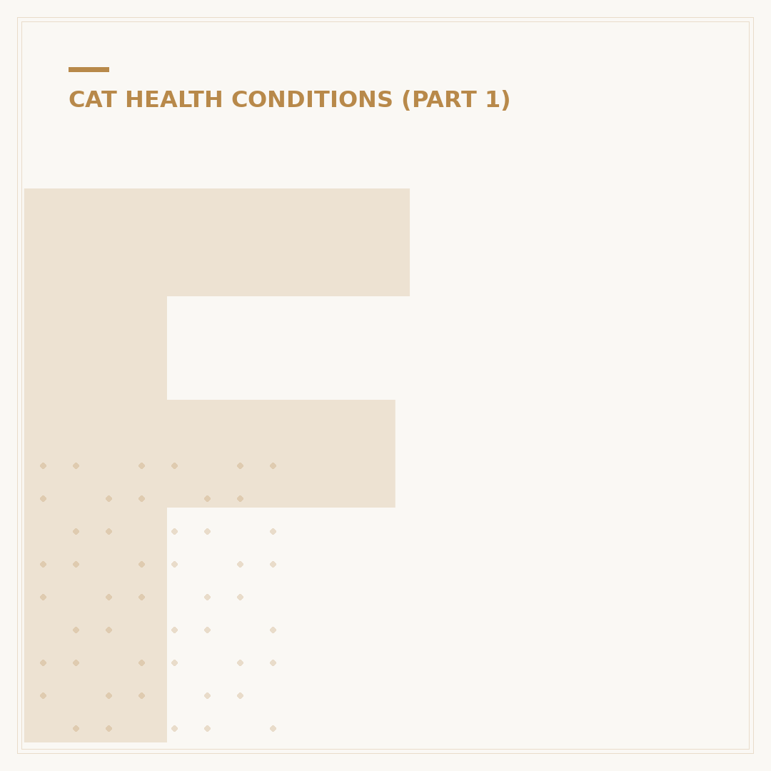 FIV in Cats: Understanding Treatment Options