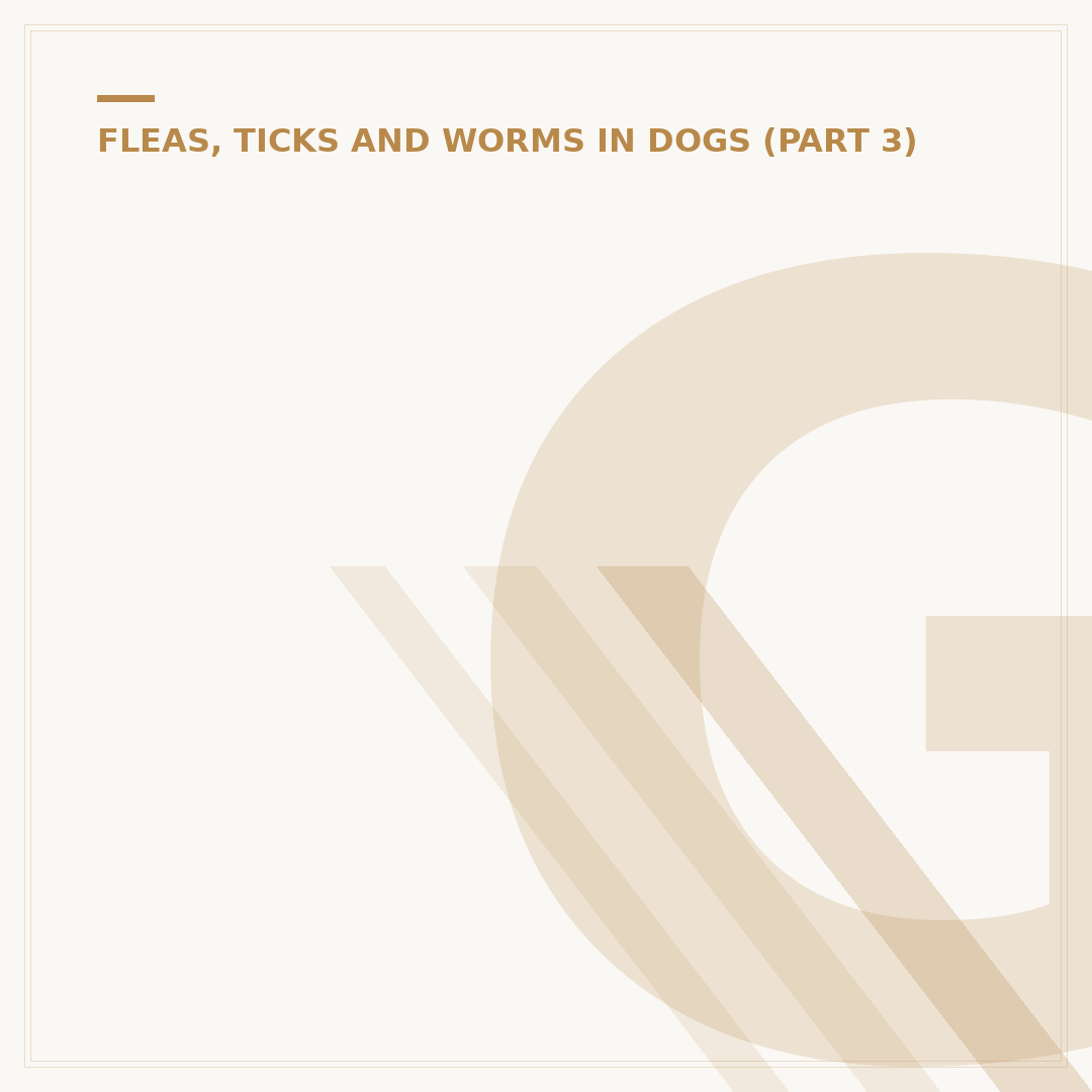 Good Flea Control for Dogs