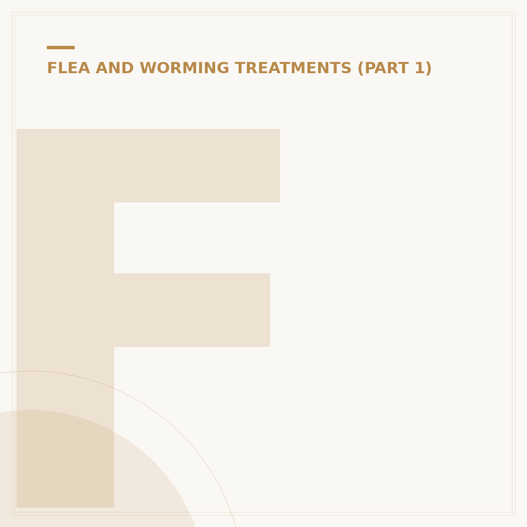 Flea Spray for Dogs: How to Choose and Use Effectively
