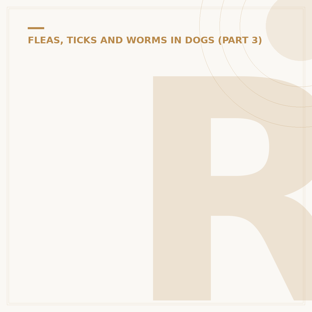 Recommended Flea and Tick Prevention for Dogs