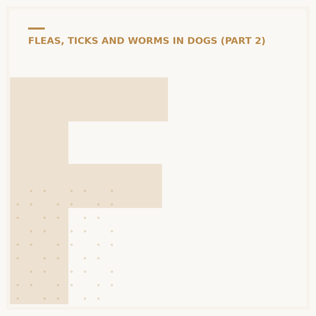 Fleas on Dogs: Can Humans Catch Them?