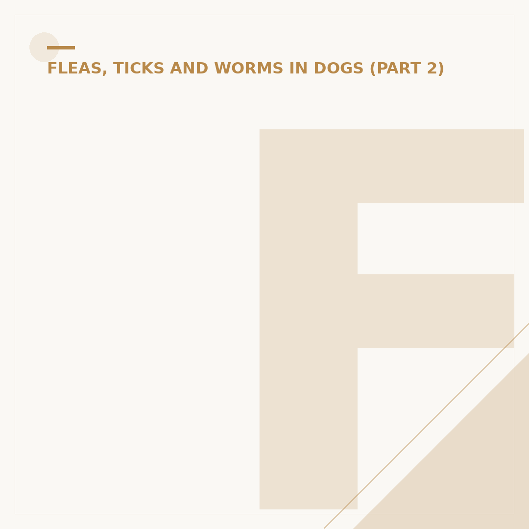Fleas and Infants: What New Parents Need to Know