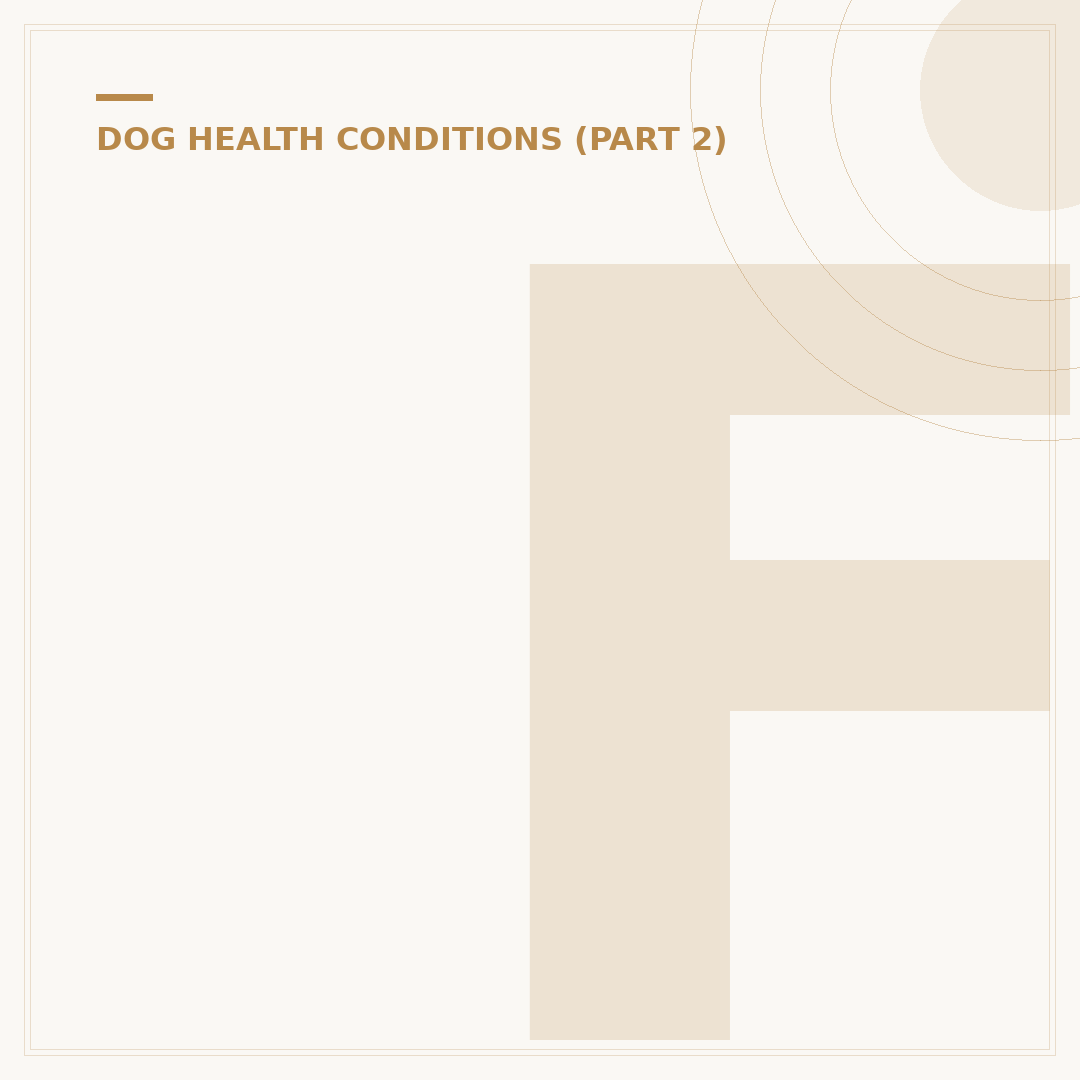 Focal Epilepsy in Dogs: Causes, Signs, and Management