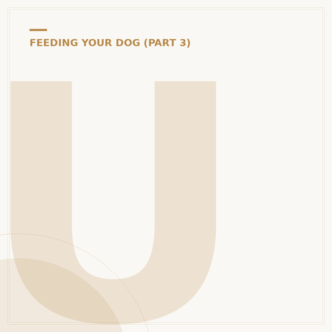 Understanding & Managing Food Aggression in Puppies