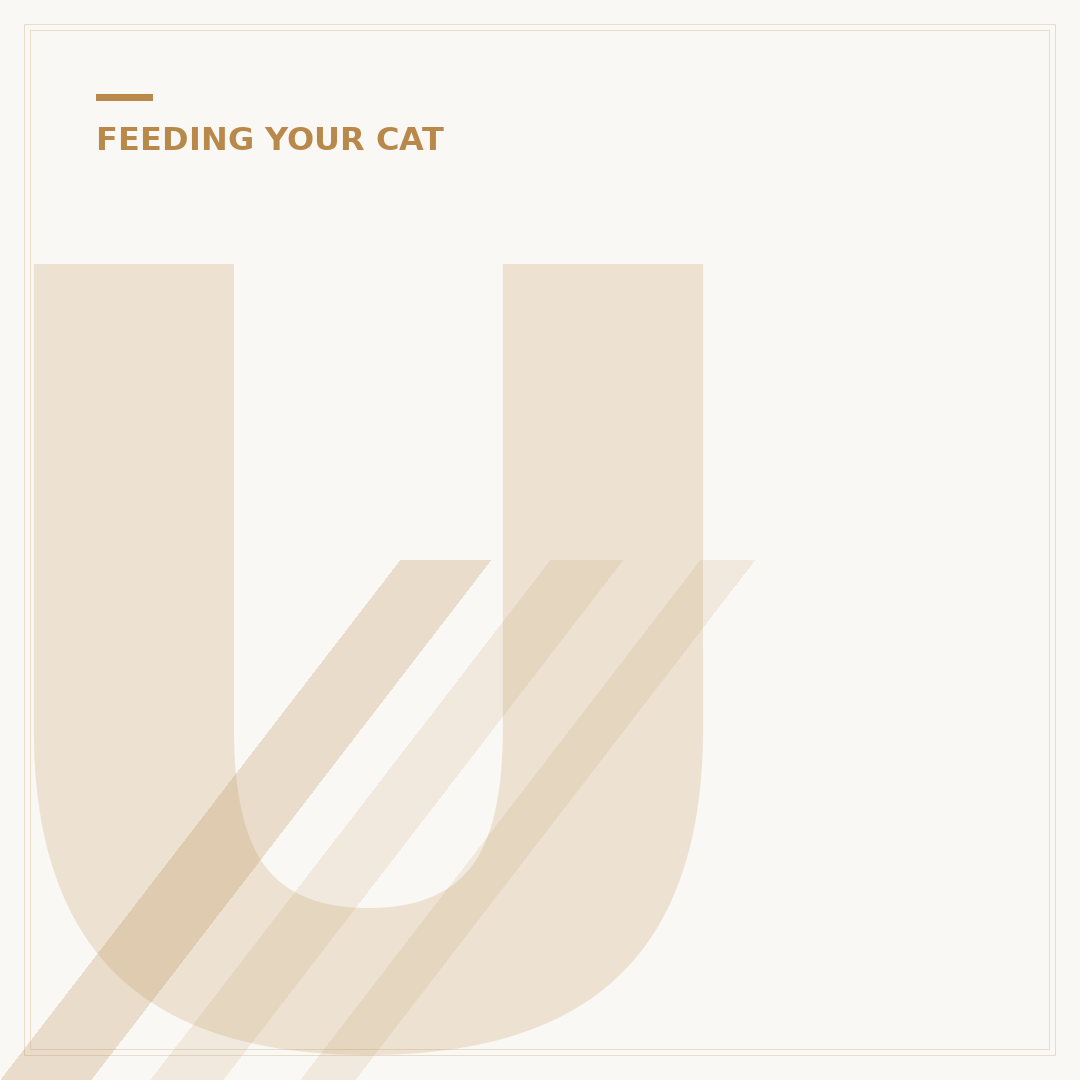 Understanding Food Sensitivity in Cats
