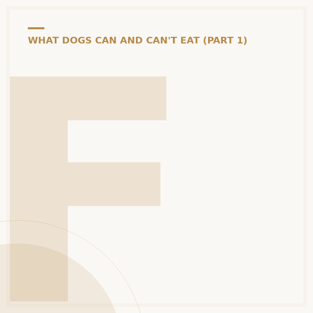 Foods Toxic to Dogs: What Owners Must Know