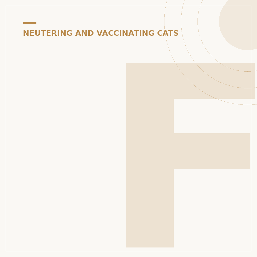 Free Kitten Vaccinations UK: How to Get Them