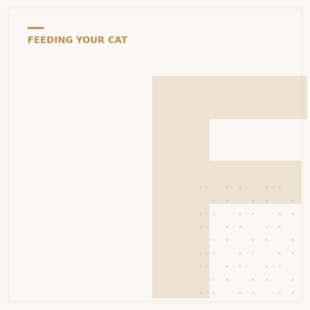 Fresh Food for Cats: What It Is and Why Cats Need It