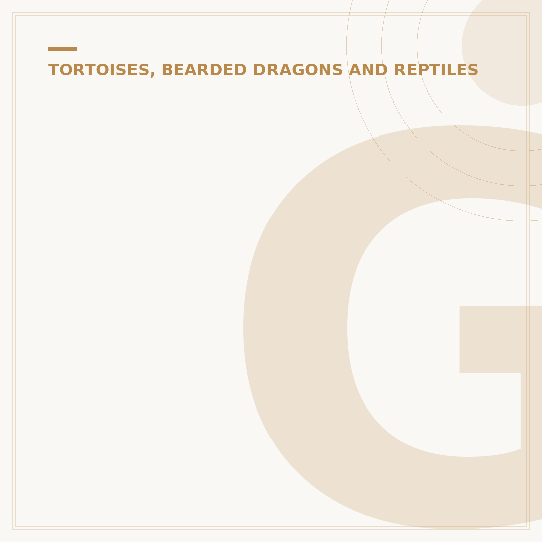 Galapagos Islands Giant Tortoise Facts