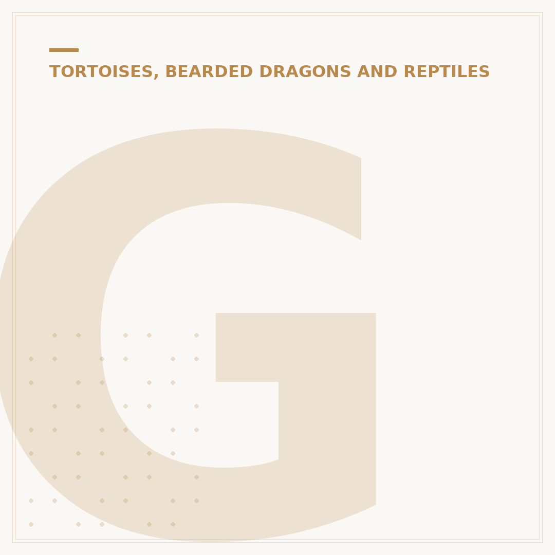 Galapagos Tortoise: Size, Diet, and Lifespan