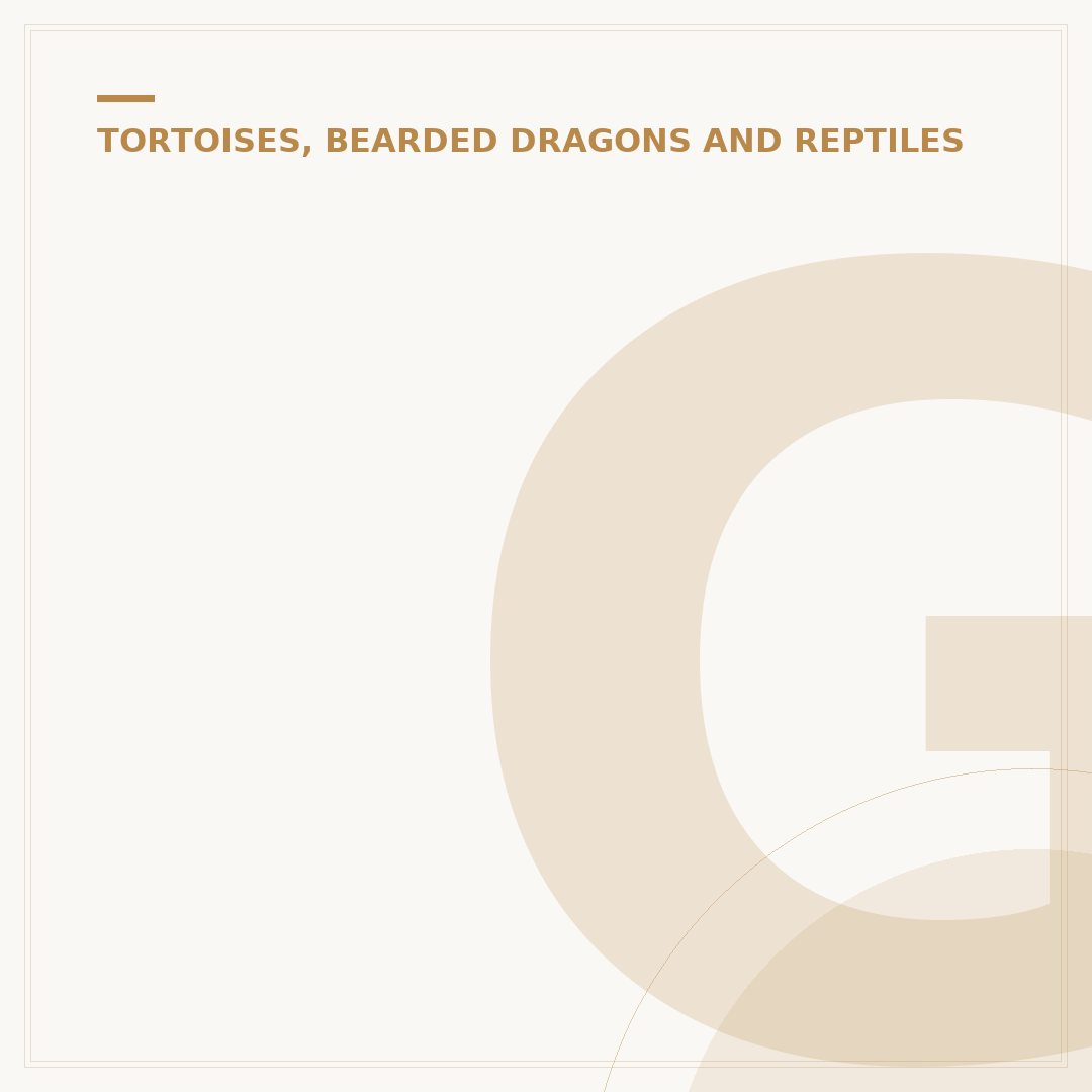 Galapagos Tortoise Lifespan: Longevity and Factors Explained