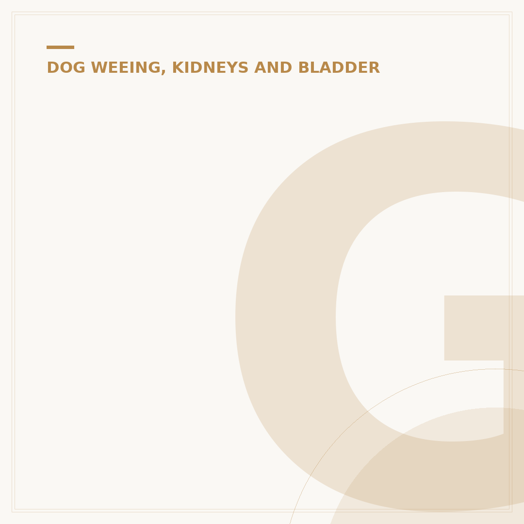 Gallbladder Stones in Dogs: Causes, Symptoms, and Care