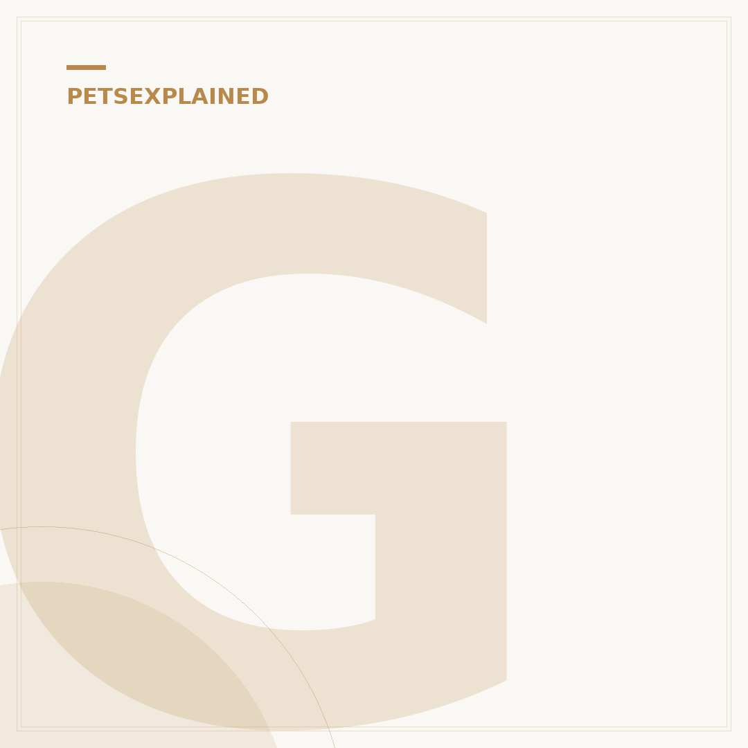 Galliprant for Dogs: Understanding Side Effects
