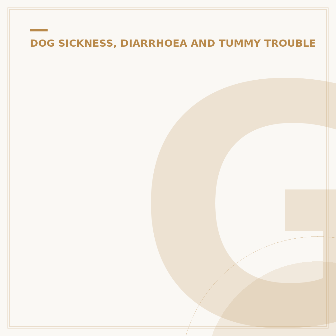 Gastrointestinal Blockage in Dogs: Signs & What To Do