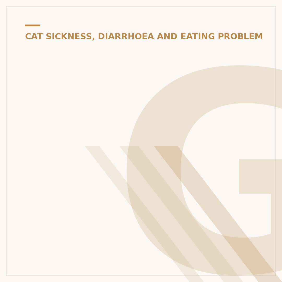 Gastrointestinal Cat Food Wet Explained