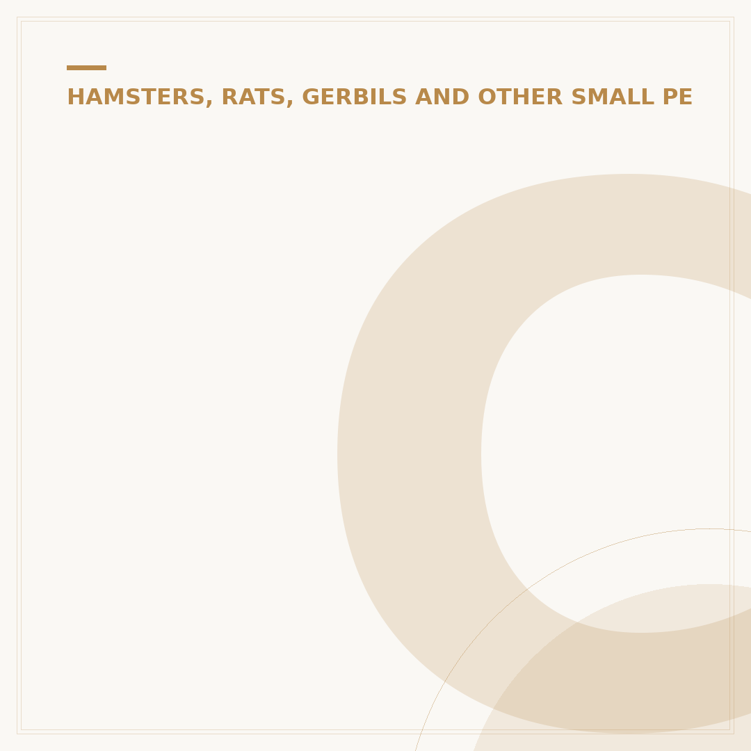 Choosing the Right Gerbil Tank