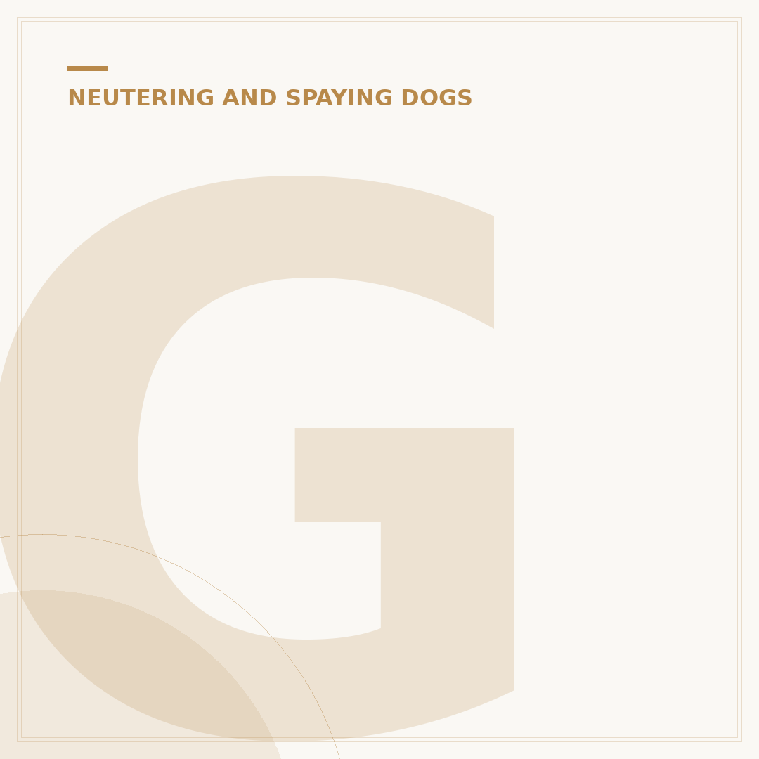 Getting a Dog Spayed