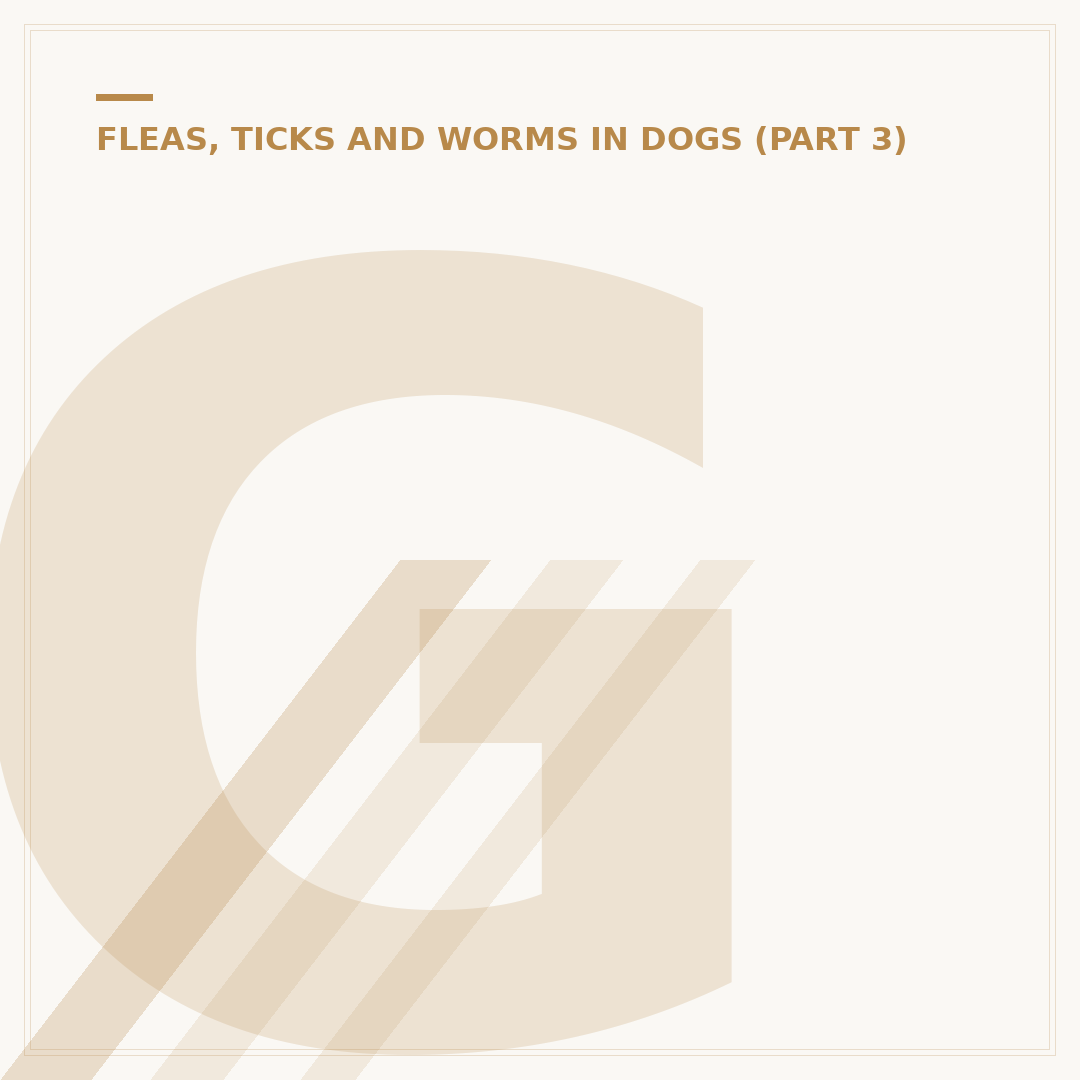 Giardia in Dogs: Protozoa Symptoms, Causes & Treatment