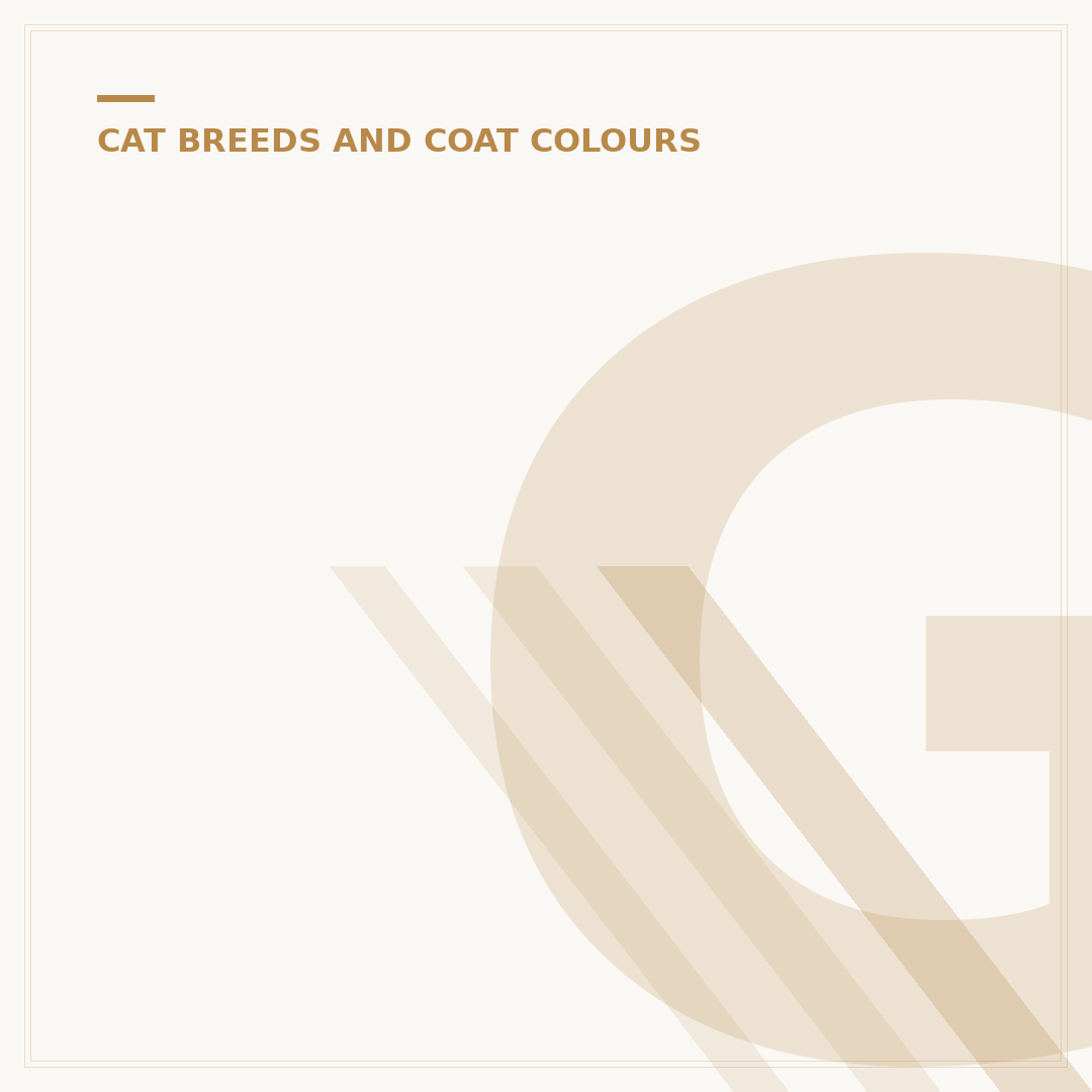 Ginger Cat: Understanding the Colour, Not a Breed