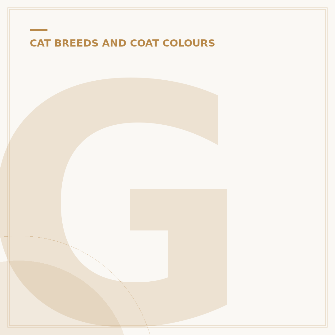 Ginger Cat: Understanding the Orange Coat