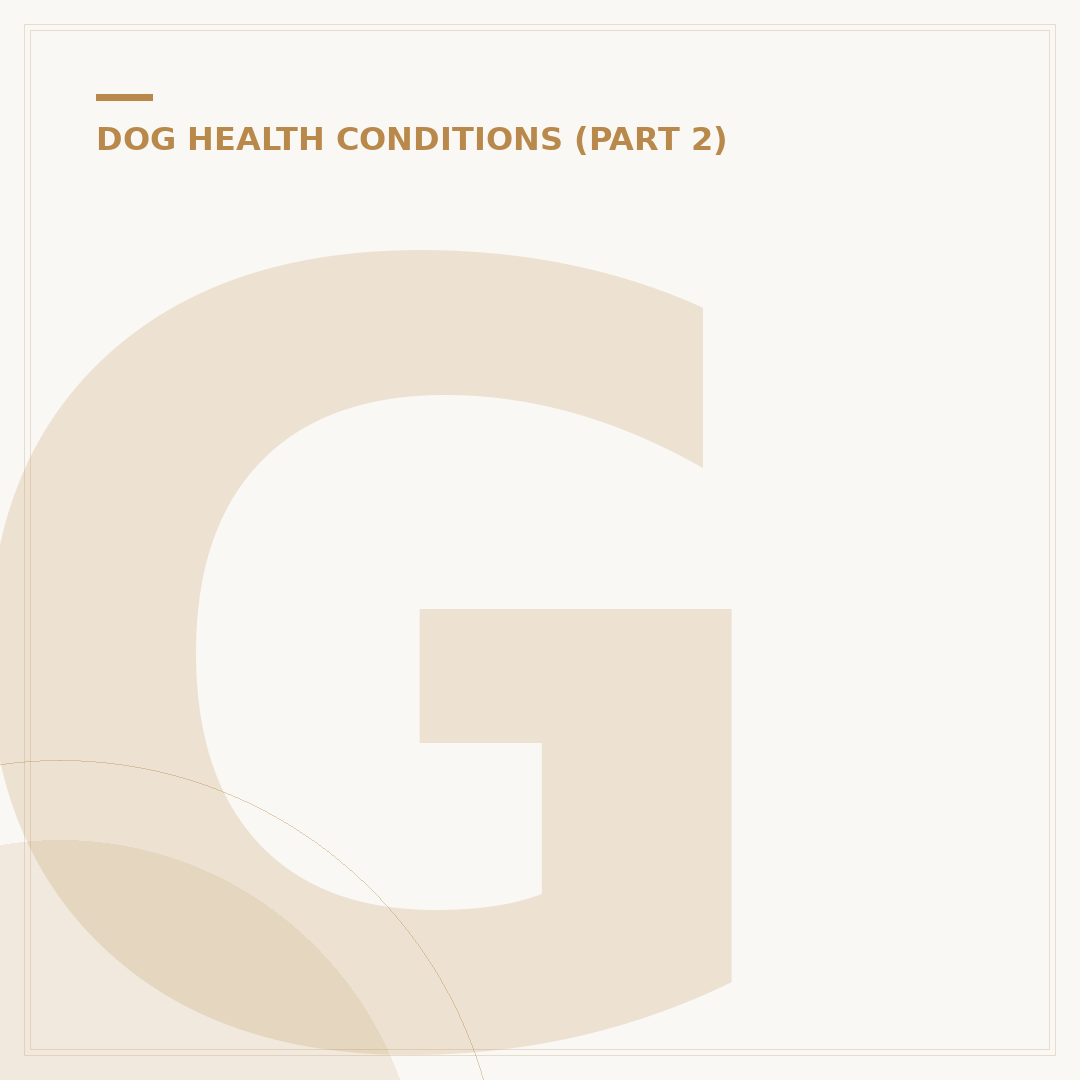 Gingivitis Cure for Dogs: Treatment & Prevention