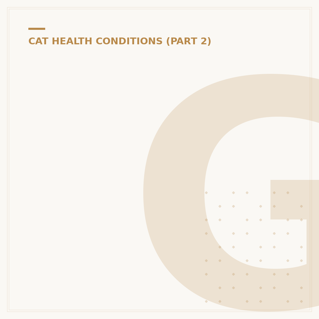 Gingivostomatitis in Cats: Causes, Symptoms and Care