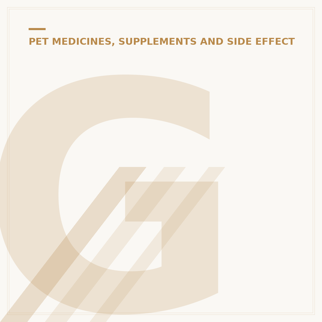 Glucosamine Chondroitin for Dogs: Joint Health Support