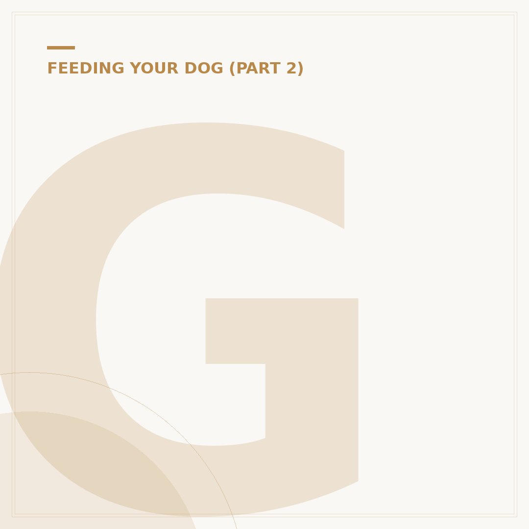 Gluten Free Dog Treats: What Owners Need to Know