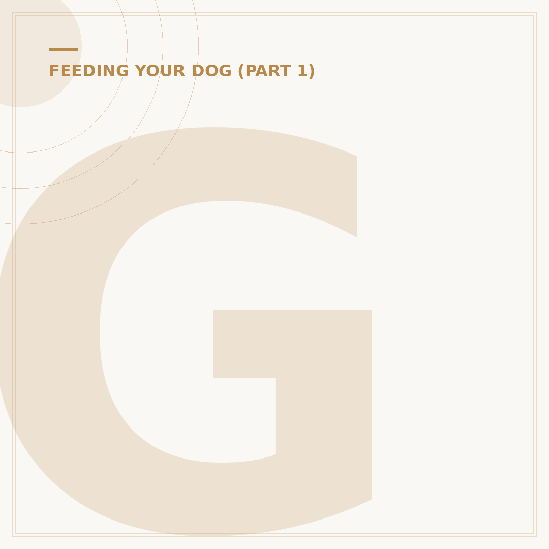 Grain Free Puppy Food: Why Choose It?