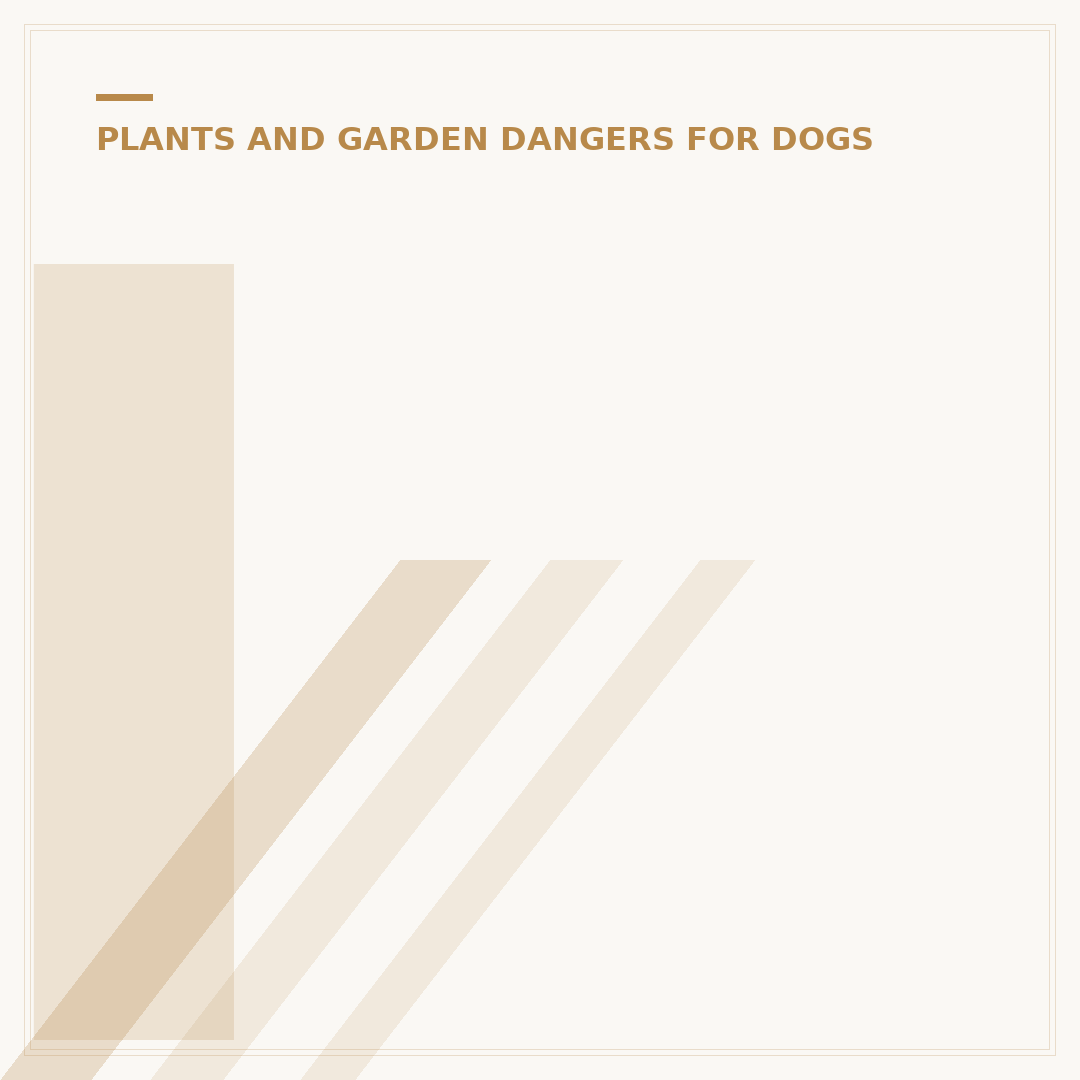 Is Grass Seed Safe for Dogs?
