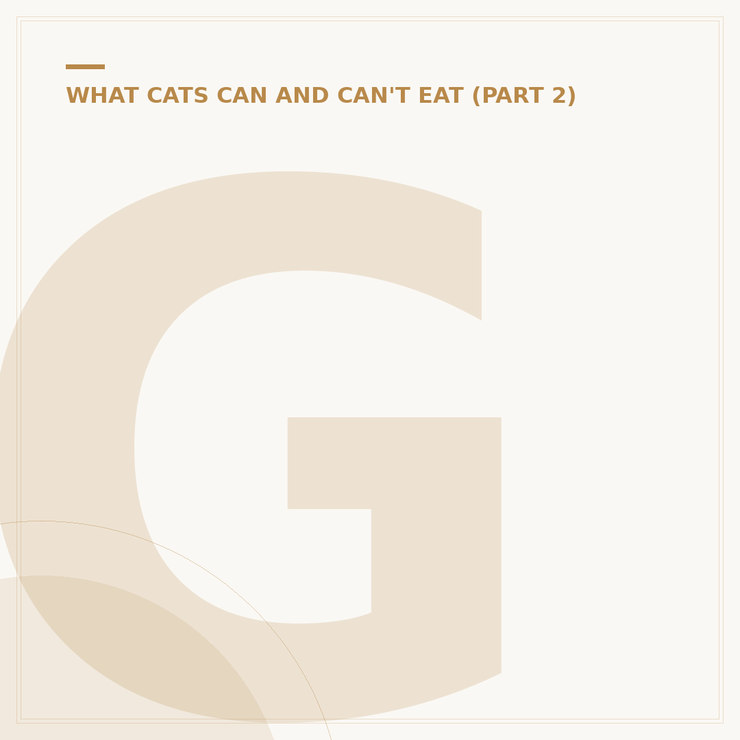 Gravy for Cats: What It Is and Why They Love It