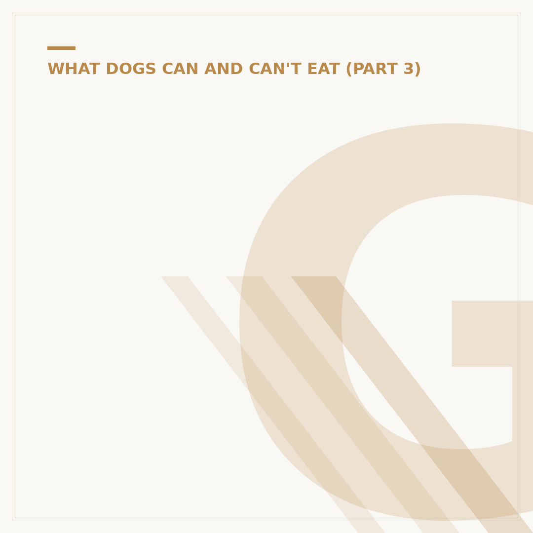 Gravy for Dogs: Is It Safe and Beneficial?