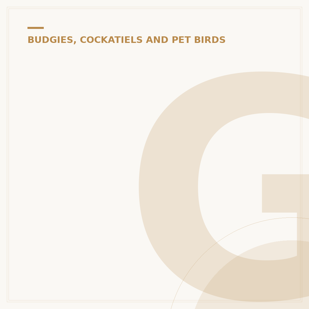 Green Budgie: Understanding Parakeet Colour Variations