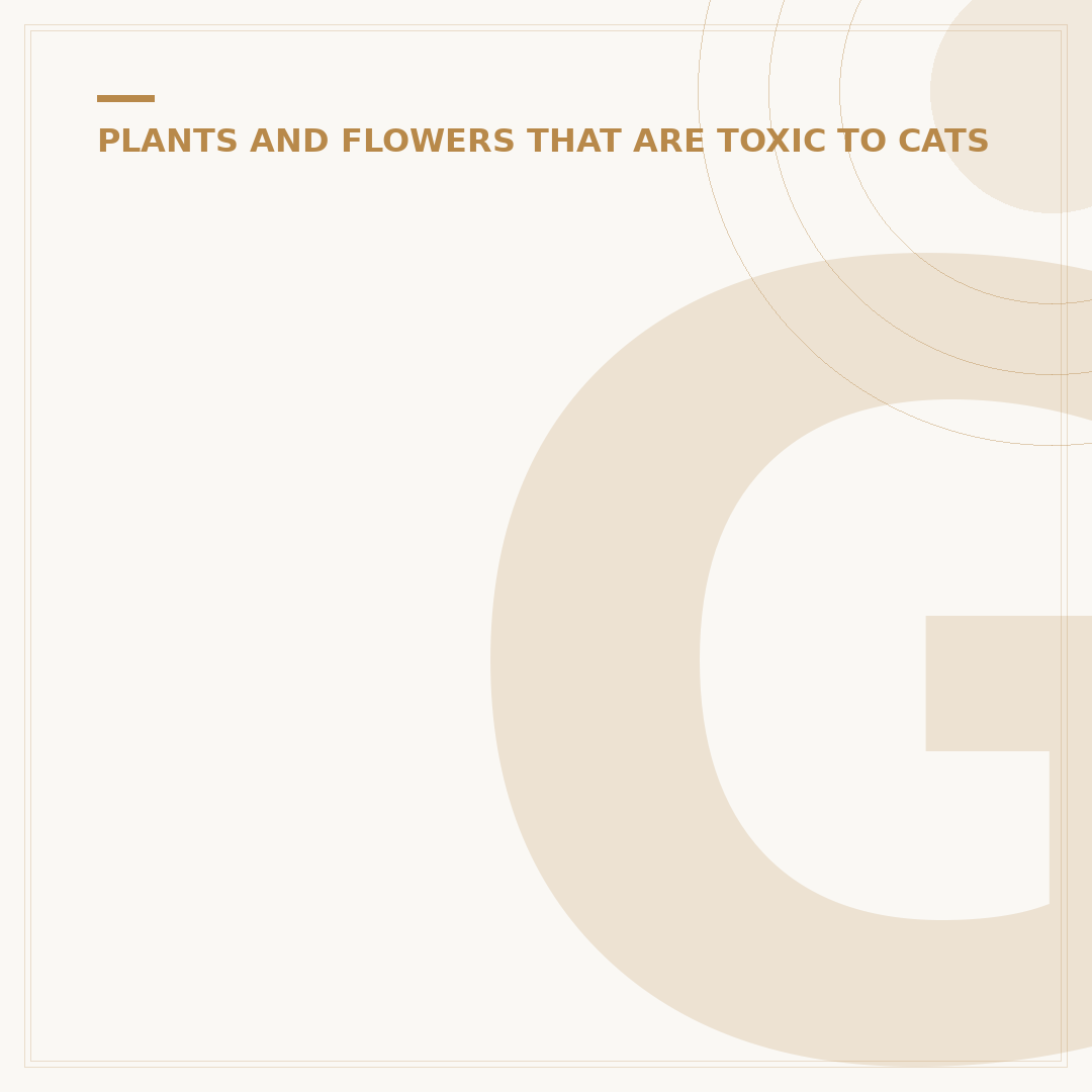 Green Plants Safe for Cats