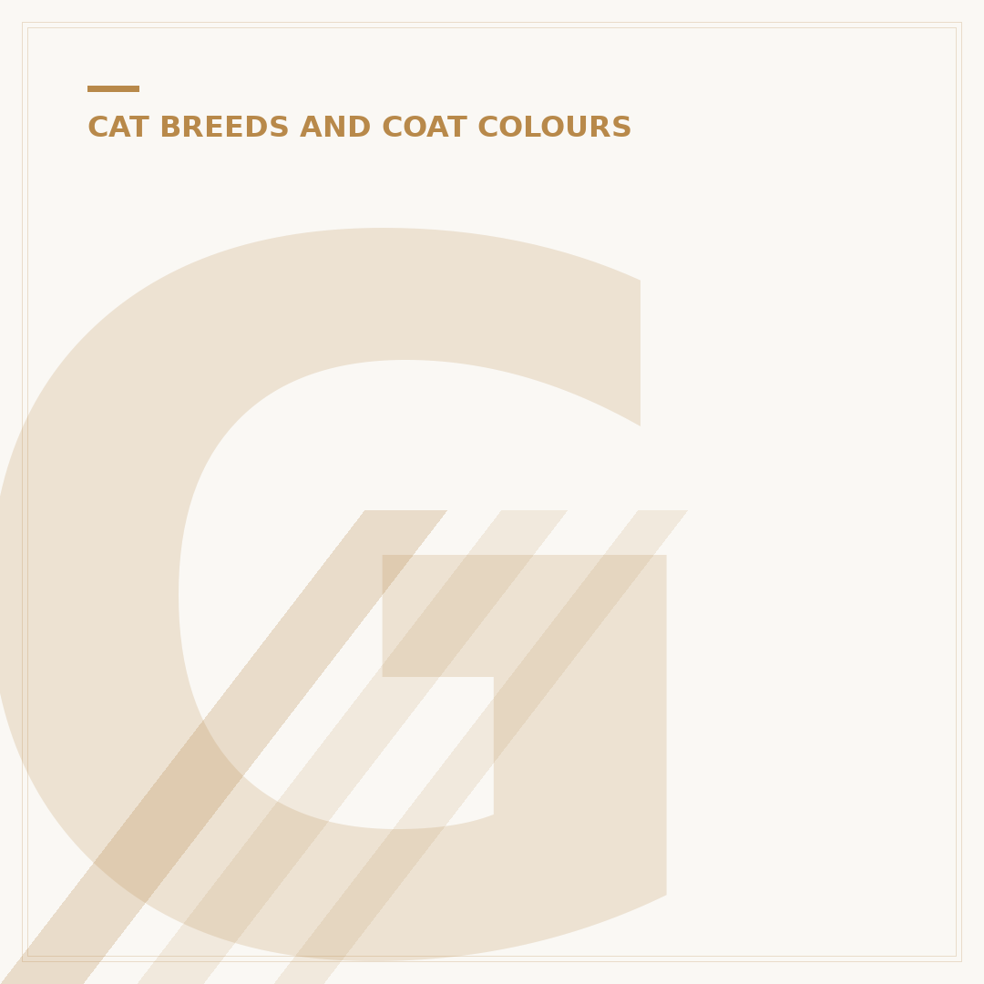 Grey Cat Breeds: Popular Types and Their Characteristics