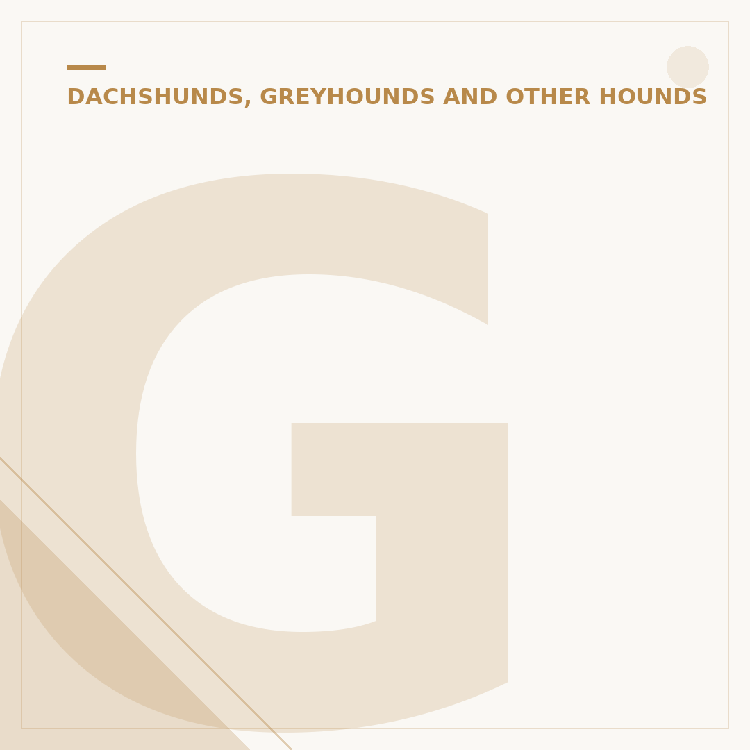 Greyhound vs Whippet Size: Key Differences Explained